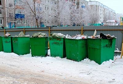 В России не хватает мусорных баков